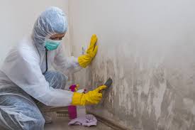 Best Asbestos and Lead Testing During Mold Inspection  in USA